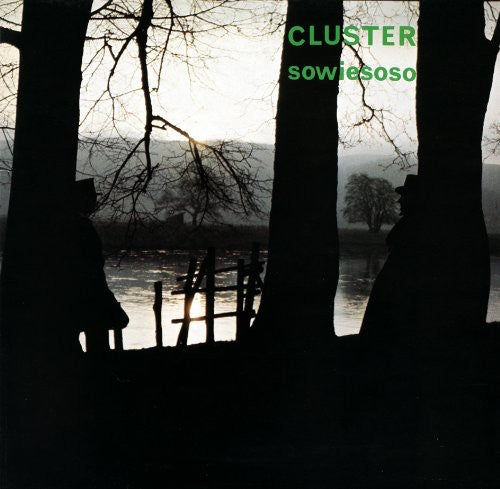 Cluster - Cluster - Sowiesoso