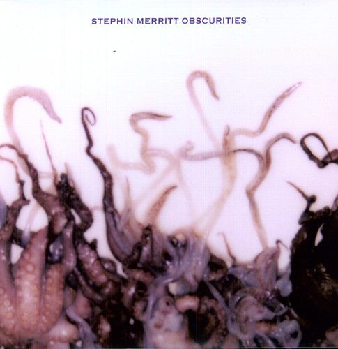 Stephin Merritt - Stephin Merritt - Obscurities