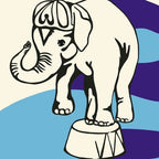 Jeff Mangum - Jeff Mangum - Live at Jittery Joe's