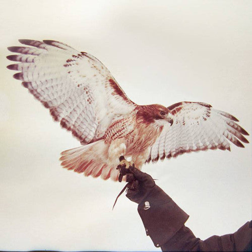 Jm Airis - Jm Airis - Wild Birds