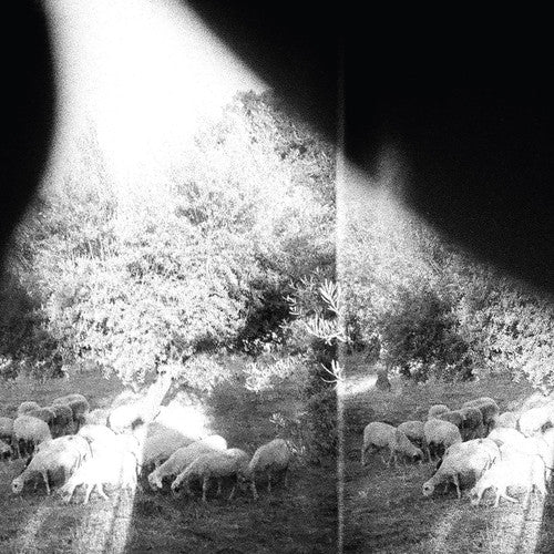 Godspeed You! Black Emperor - Godspeed You! Black Emperor - Asunder Sweet & Other Distress