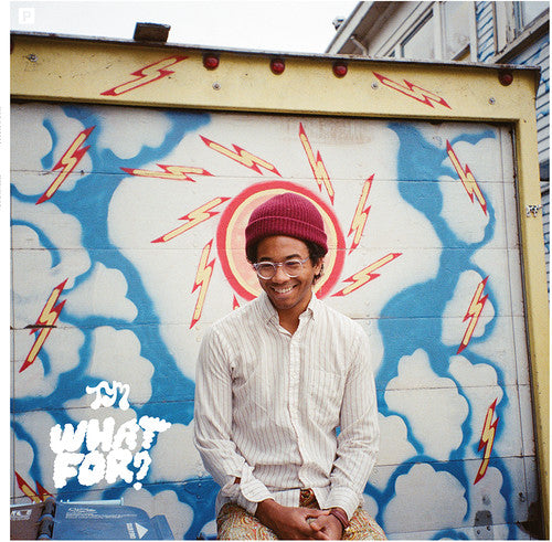 Toro y Moi - Toro y Moi - What for