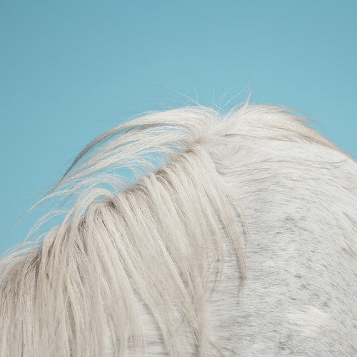 Widowspeak - Widowspeak - All Yours
