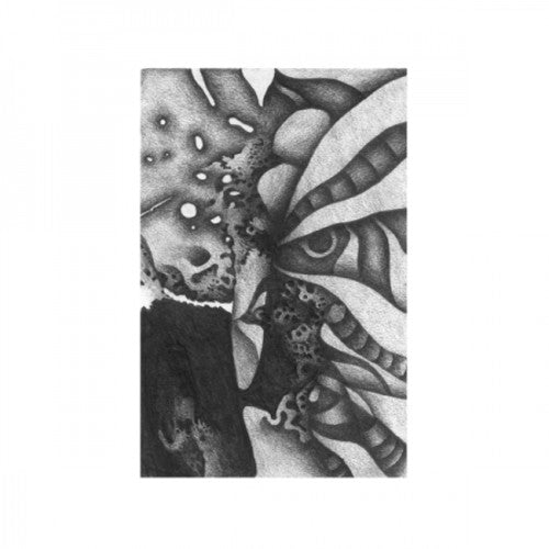 Vibracathedral Orchestra - Vibracathedral Orchestra - Rec Blast Motorbike