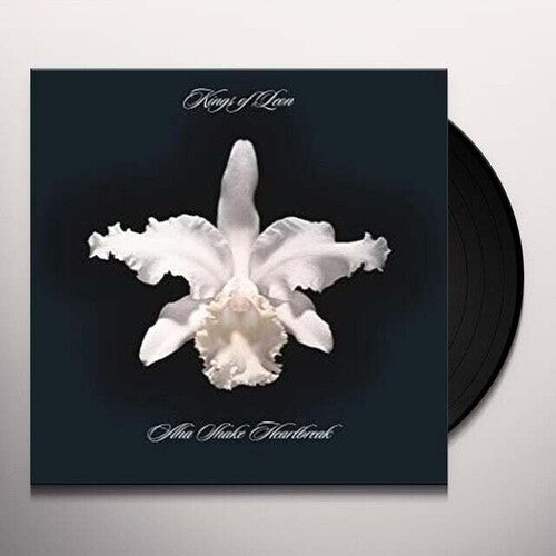 Kings of Leon - Kings of Leon - Aha Shake Heartbreak(180-gram)