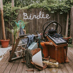 Slaughter Beach Dog - Slaughter Beach Dog - Birdie