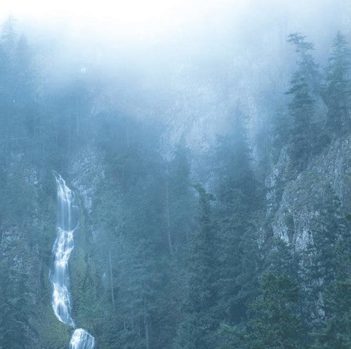 Wolves in the Throne Room - Wolves in the Throne Room - Diadem Of 12 Stars