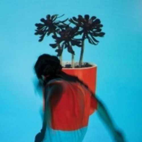 Local Natives - Local Natives - Sunlit Youth