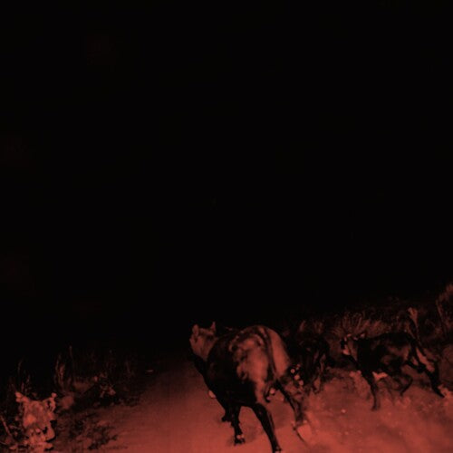 Bambara - Bambara - Shadow On Everything