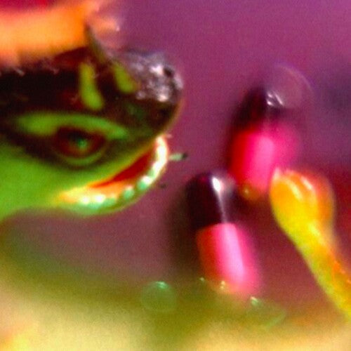 Bush Tetras - Bush Tetras - Take The Fall