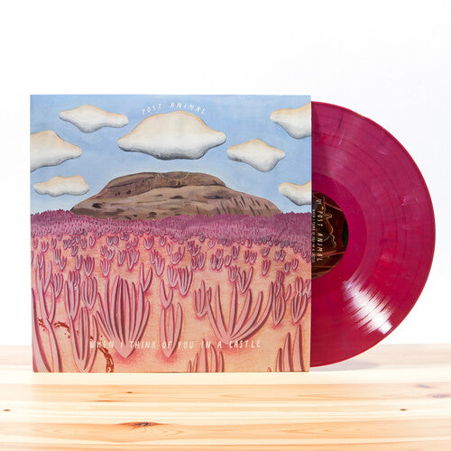 Post Animal - Post Animal - When I Think Of You In A Castle (