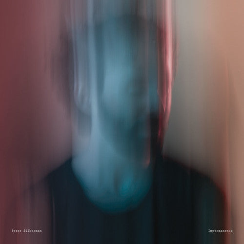 Peter Silberman - Peter Silberman - Impermanence