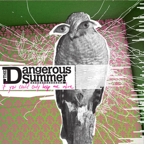 The Dangerous Summer - The Dangerous Summer - If You Could Only Keep Me Alive
