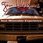 Gin Blossoms - Gin Blossoms - New Miserable Experience