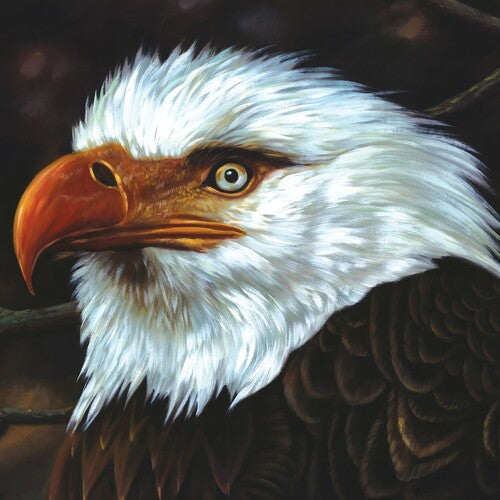 Mogwai - Mogwai - Hawk Is Howling