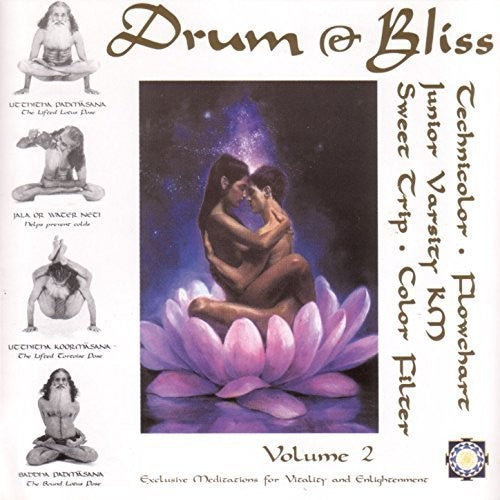 Various Artists - Various Artists - Drum & Bliss 2 (Various Artists)