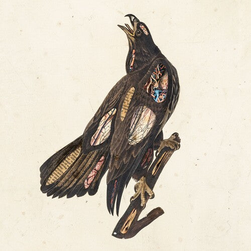 Clutch - Clutch - Book Of Bad Decisions