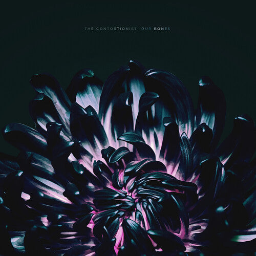 The Contortionist - The Contortionist - Our Bones