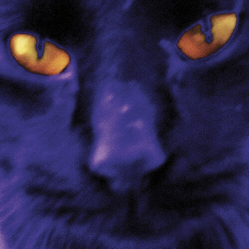 David Kilgour and the Heavy Eights - David Kilgour and the Heavy Eights - Bobbie's A Girl