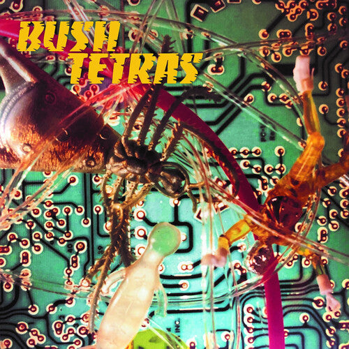 Bush Tertas - Bush Tertas - There Is A Hum / Seven Years