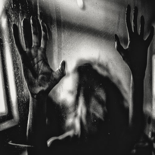 Behind the Shadow Drops - Behind the Shadow Drops - Harmonic