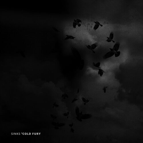 Sinks - Sinks - Cold Fury
