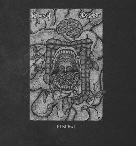 Exilent - Exilent - Renewal (Split)
