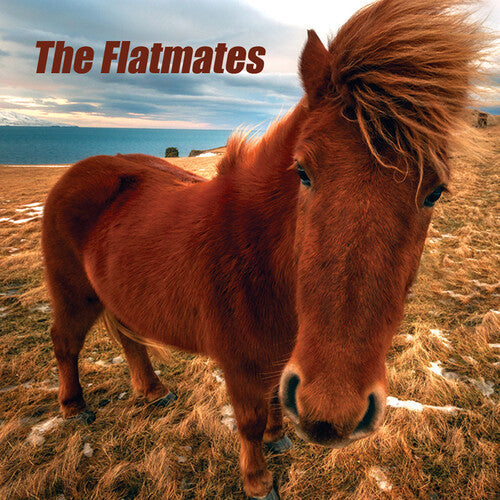 Flatmates - Flatmates - Flatmates