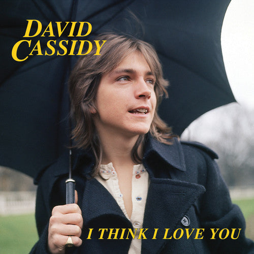 David Cassidy - David Cassidy - I Think I Love You [7-inch Blue]
