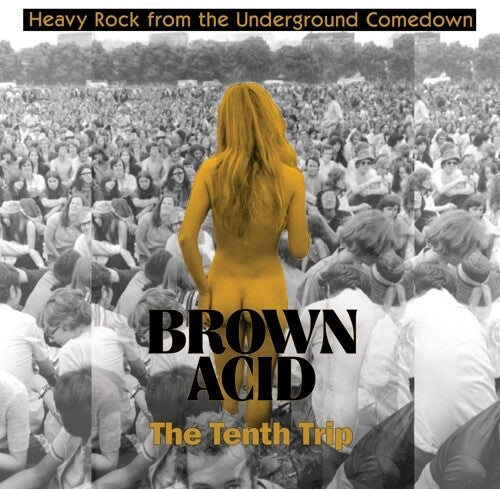 Various Artists - Various Artists - Brown Acid - The Tenth Trip (Various Artists)