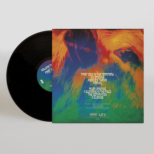 William Tyler - William Tyler - Music From First Cow