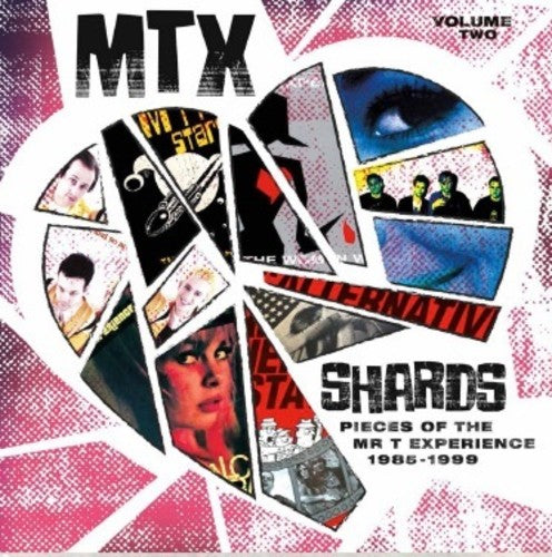 Mr T Experience - Mr T Experience - Shards Vol. 2
