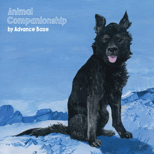 Advance Base - Advance Base - Animal Companionship