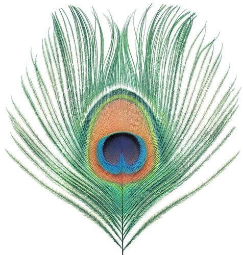 XTC - XTC - Apple Venus Vol 1