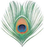 XTC - XTC - Apple Venus Vol 1