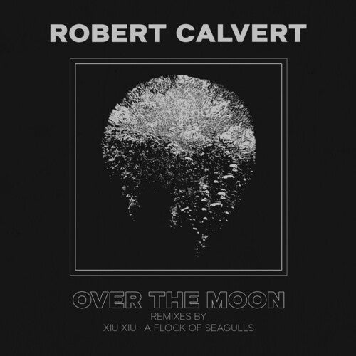 Robert Calvert - Robert Calvert - Over The Moon