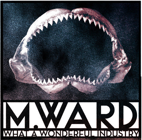 M. Ward - M. Ward - What a Wonderful Industry