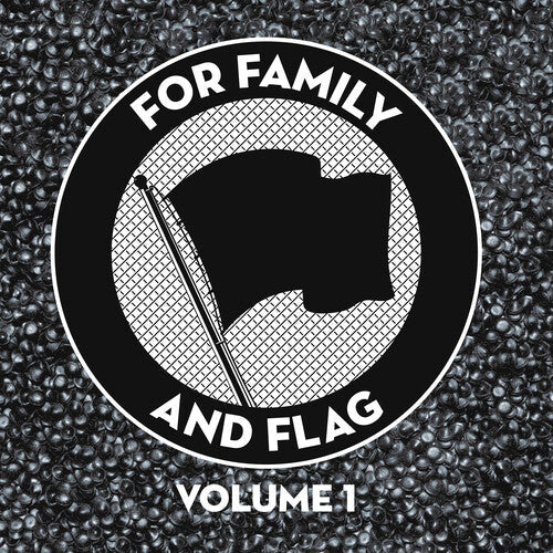 Various Artists - Various Artists - For Family And Flag 1 (Various Artists)