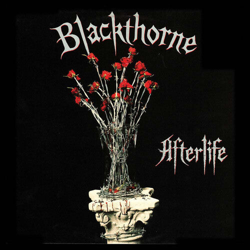Blackthorne - Blackthorne - Afterlife