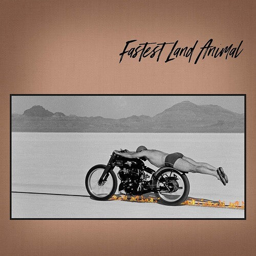Fastest Land Animal - Fastest Land Animal - Fastest Land Animal