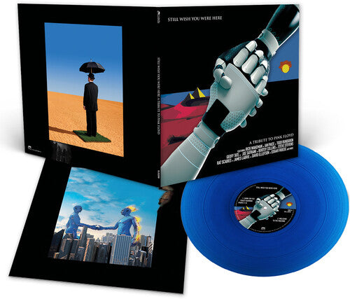 Various Artists - Various Artists - Pink Floyd Tribute: Still Wish You Were Here / Various