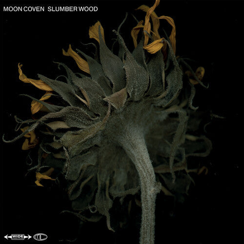 Moon Coven - Moon Coven - Slumber Wood