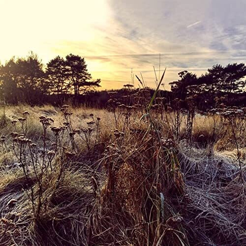 Ane Brun - Ane Brun - Leave Me Breathless