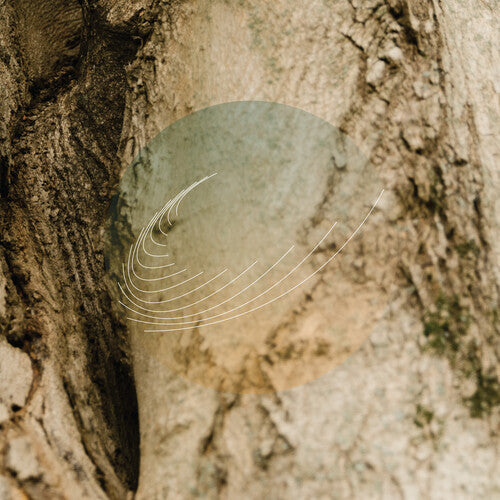 Field Works - Field Works - Maples, Ash, and Oaks: Cedars Instrumentals