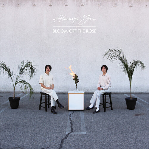 Always You - Always You - Bloom Off The Rose