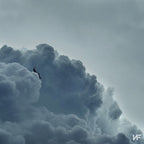 Nf - Nf - Clouds (The Mixtape)