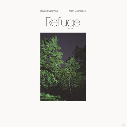 Devendra Banhart - Devendra Banhart - Refuge (Blue Seaglass Wave Translucent)