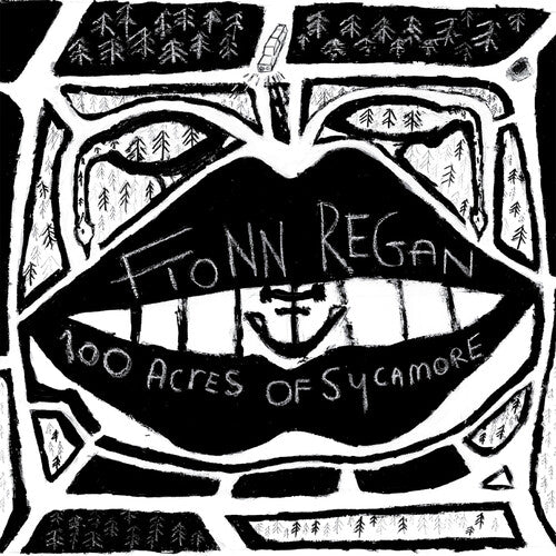 Fionn Regan - Fionn Regan - 100 Acres Of Sycamore