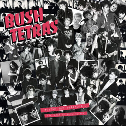 Bush Tetras - Bush Tetras - Rhythm & Paranoia: The Best of Bush Tetras [3LP]