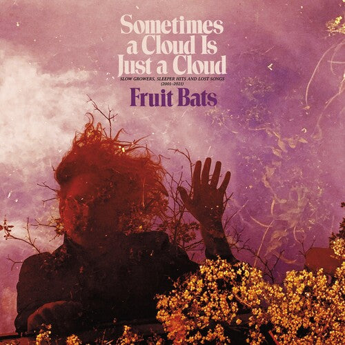 Fruit Bats - Fruit Bats - Sometimes a Cloud Is Just a Cloud: Slow Growers, Sleeper Hits and Lost Songs (2001–2021)